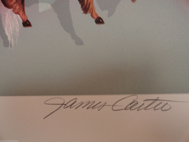 Lublin Graphics Artwork named American Buffalo , By Artist Carter James